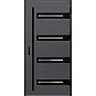 Eingangstüren aus Stahl ERKADO - LEOBEN 2 - Glattes Anthrazit, Label Black