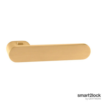 Türgriffe GK - AVUS ONE S2L - Gold matt